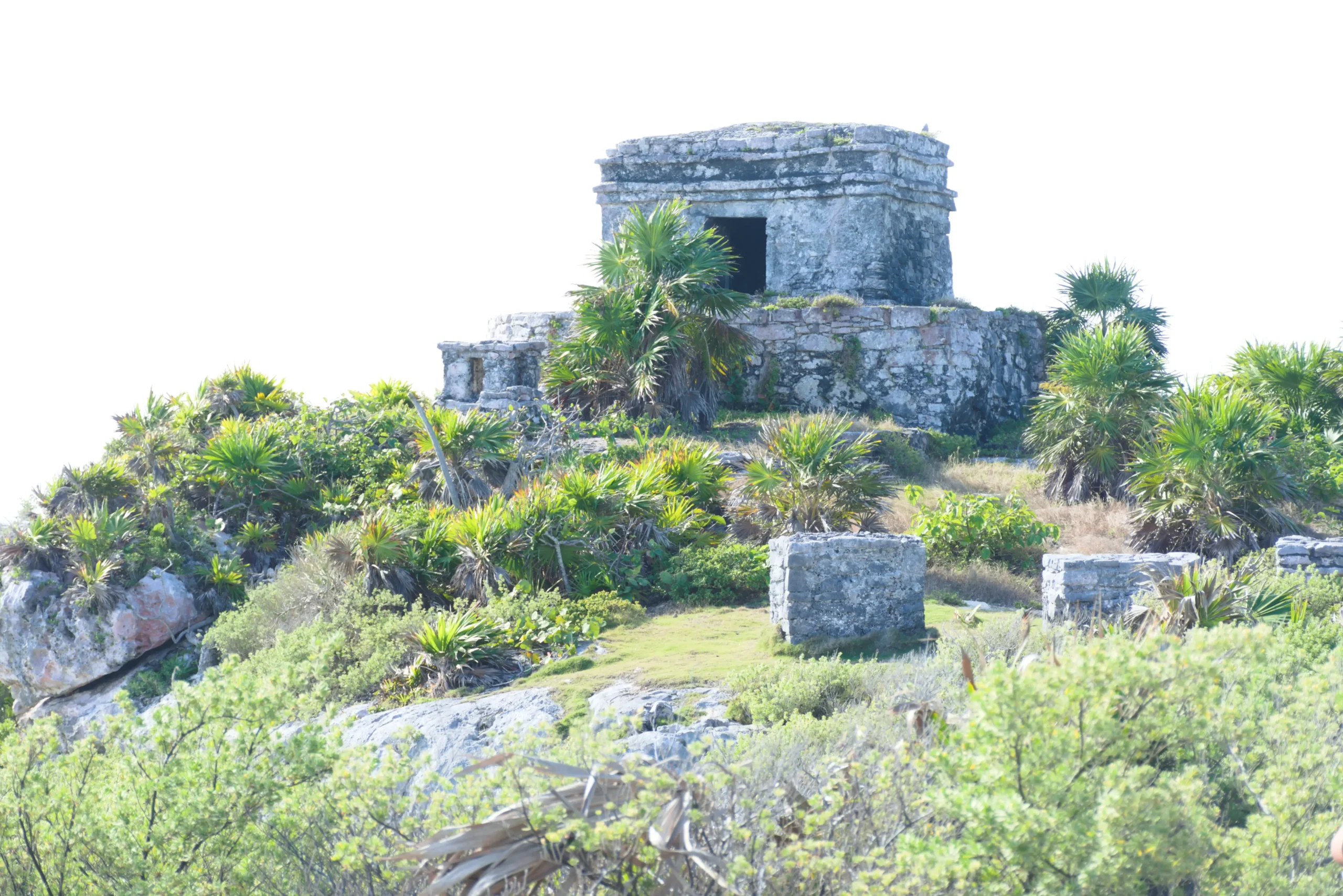 Zona Arqueológica de Tulum Datos Curiosos 31 DSC 0638 1 scaled