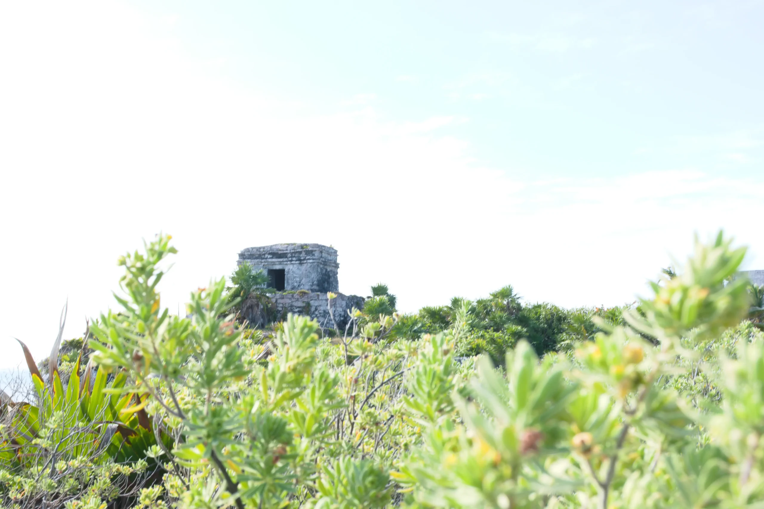 Zona Arqueológica de Tulum Datos Curiosos 30 DSC 0641 1 scaled