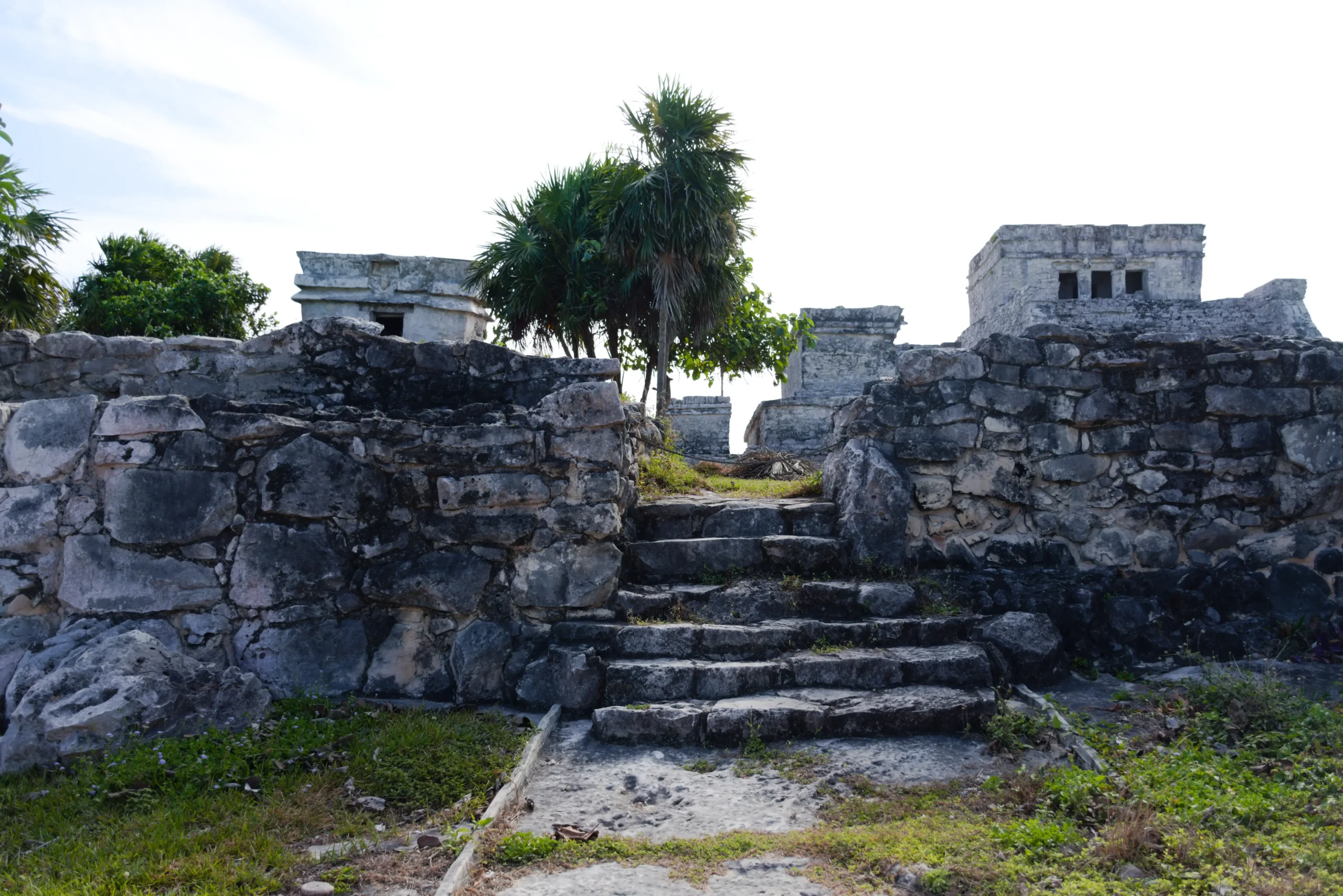 Zona Arqueológica de Tulum Datos Curiosos 35 DSC 0689 1 scaled