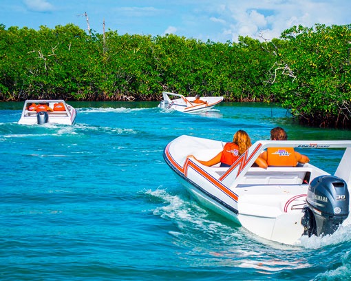 El mejor Jungle Tour Cancún 2025 10 jungle tour cancun