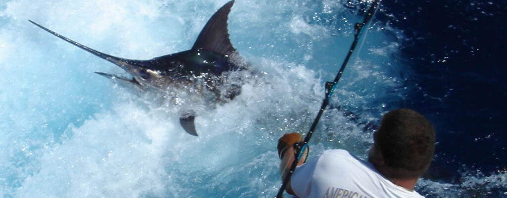pesca-de-pez-marlin-torneo-de-pesca-puerto-vallarta (1)