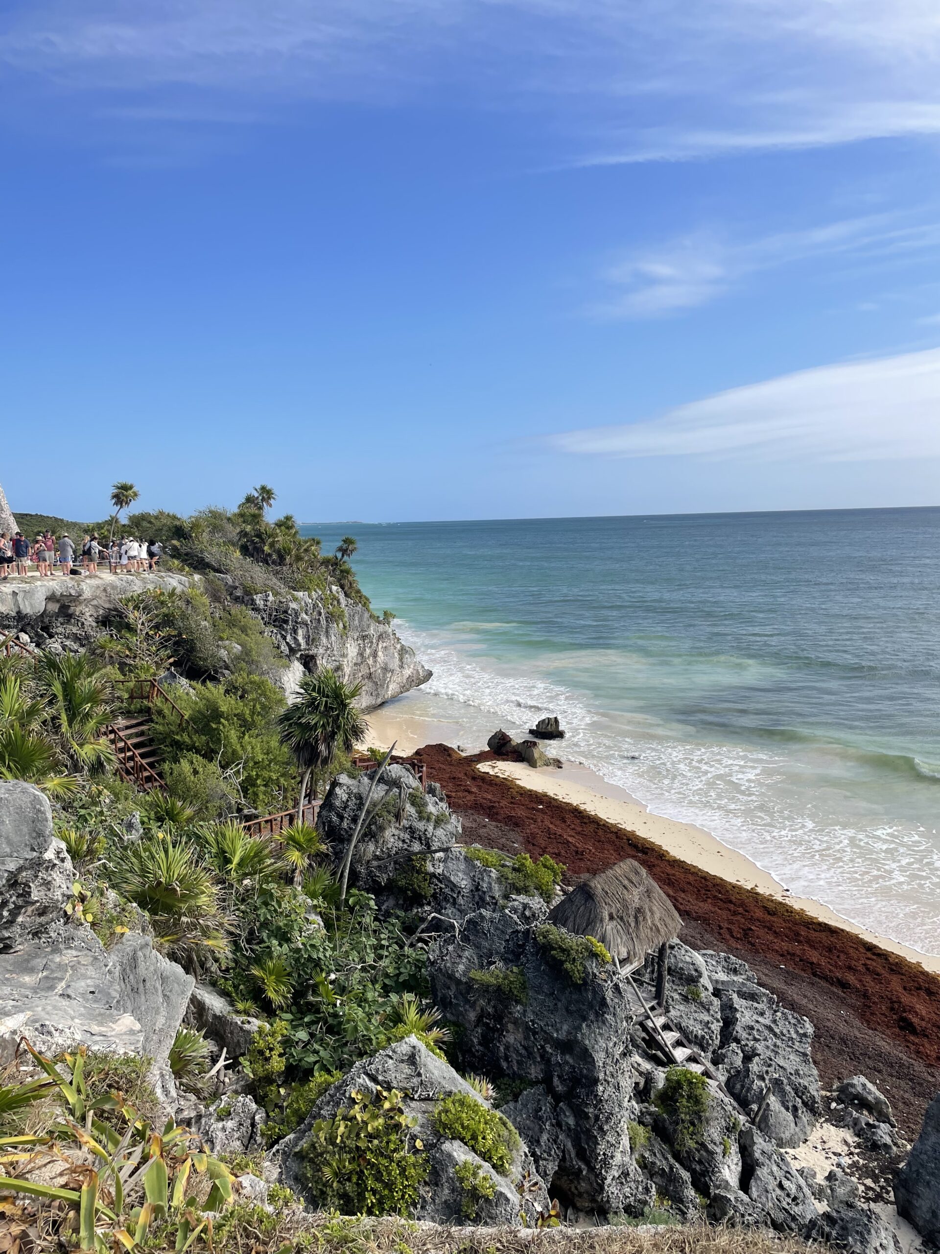 Zona Arqueológica de Tulum Datos Curiosos 26 playa de desove de tortugas tulum